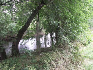 KONICA MINOLTA DIGITAL CAMERA