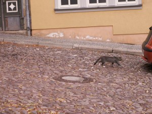 KONICA MINOLTA DIGITAL CAMERA