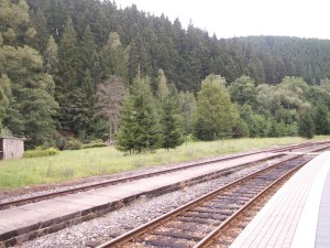 KONICA MINOLTA DIGITAL CAMERA