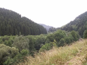 KONICA MINOLTA DIGITAL CAMERA