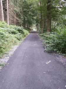 KONICA MINOLTA DIGITAL CAMERA