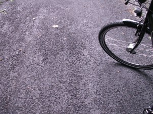 KONICA MINOLTA DIGITAL CAMERA