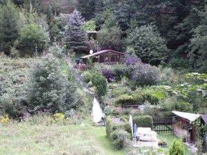 KONICA MINOLTA DIGITAL CAMERA