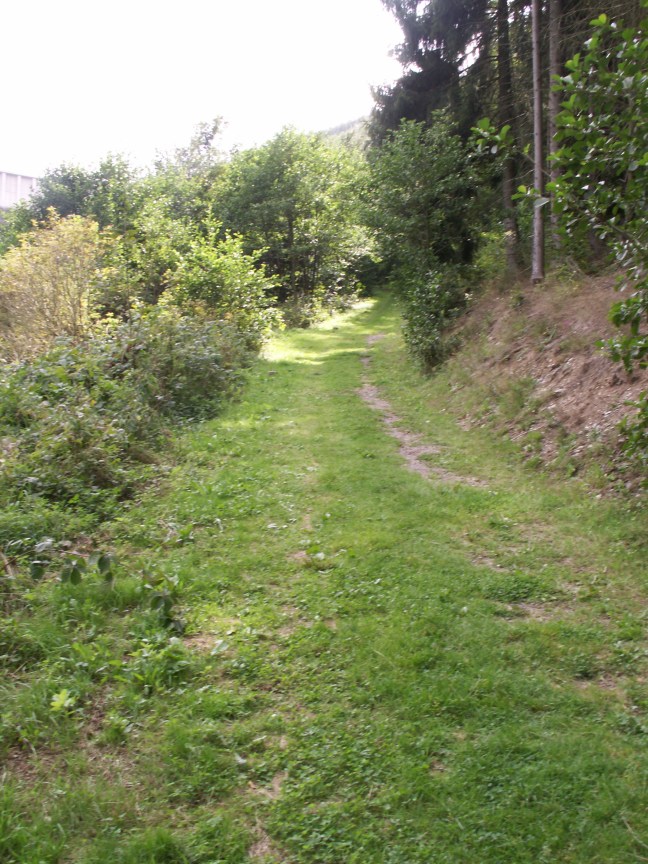 KONICA MINOLTA DIGITAL CAMERA