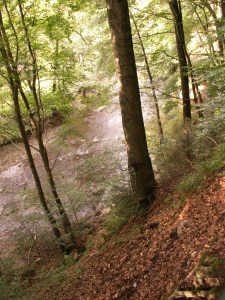 KONICA MINOLTA DIGITAL CAMERA