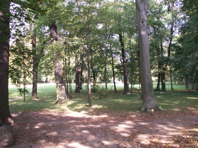 KONICA MINOLTA DIGITAL CAMERA