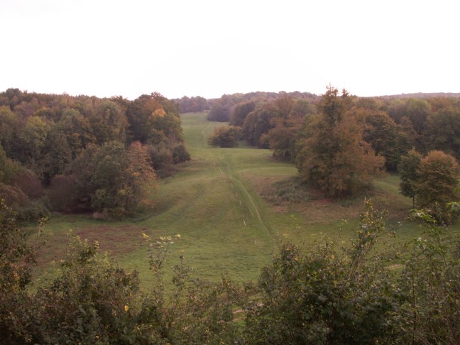 KONICA MINOLTA DIGITAL CAMERA