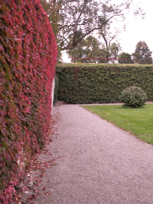 KONICA MINOLTA DIGITAL CAMERA