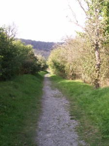 KONICA MINOLTA DIGITAL CAMERA