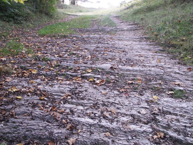 KONICA MINOLTA DIGITAL CAMERA