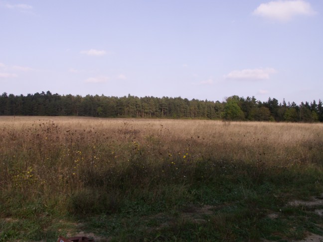 KONICA MINOLTA DIGITAL CAMERA