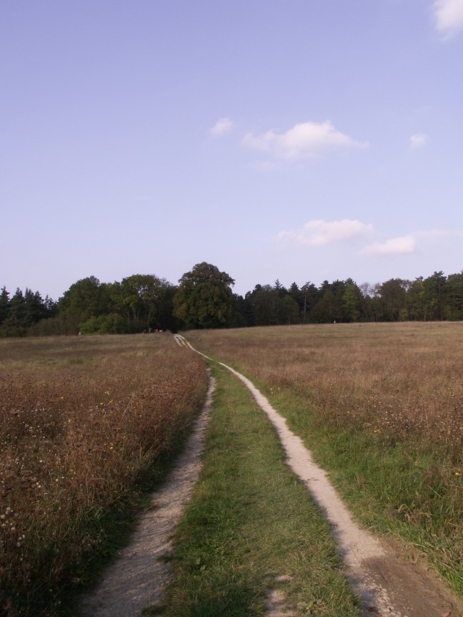 KONICA MINOLTA DIGITAL CAMERA