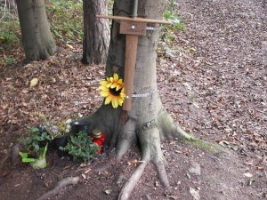 KONICA MINOLTA DIGITAL CAMERA