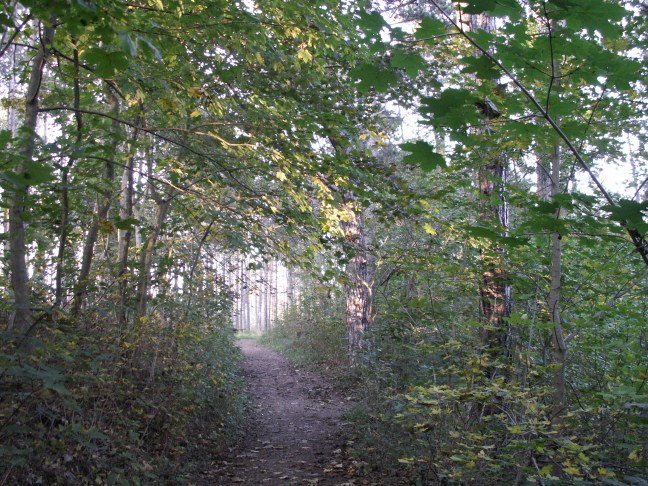 KONICA MINOLTA DIGITAL CAMERA