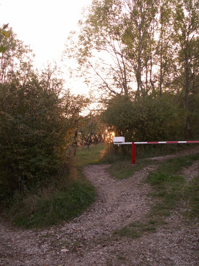 KONICA MINOLTA DIGITAL CAMERA