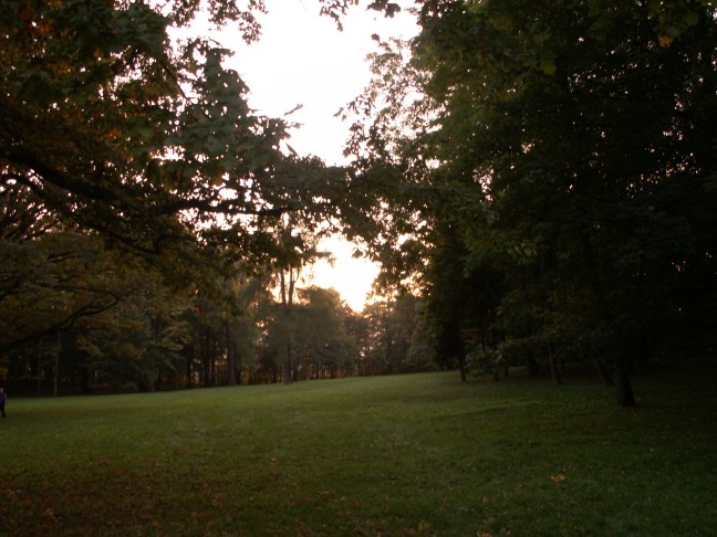 KONICA MINOLTA DIGITAL CAMERA