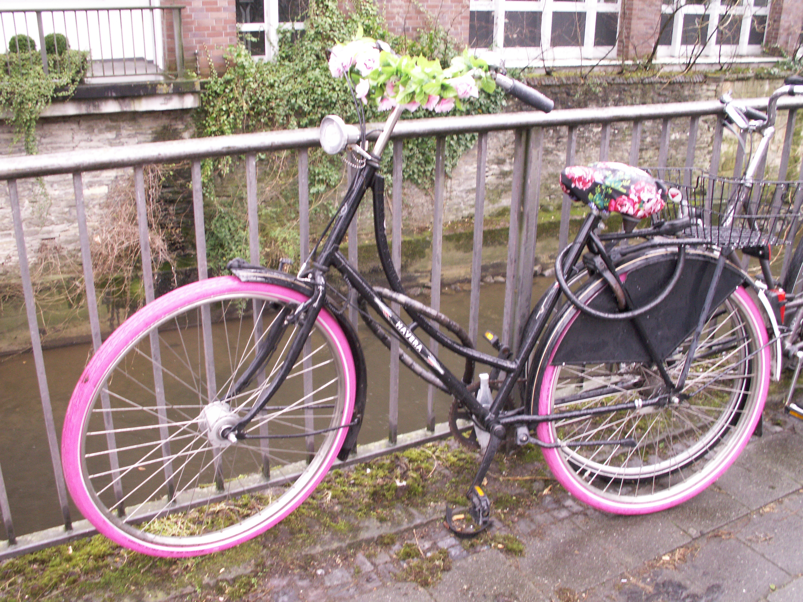 KONICA MINOLTA DIGITAL CAMERA