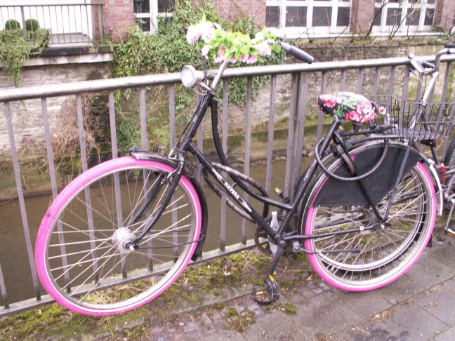 KONICA MINOLTA DIGITAL CAMERA