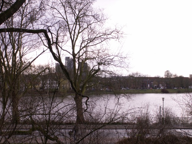 KONICA MINOLTA DIGITAL CAMERA