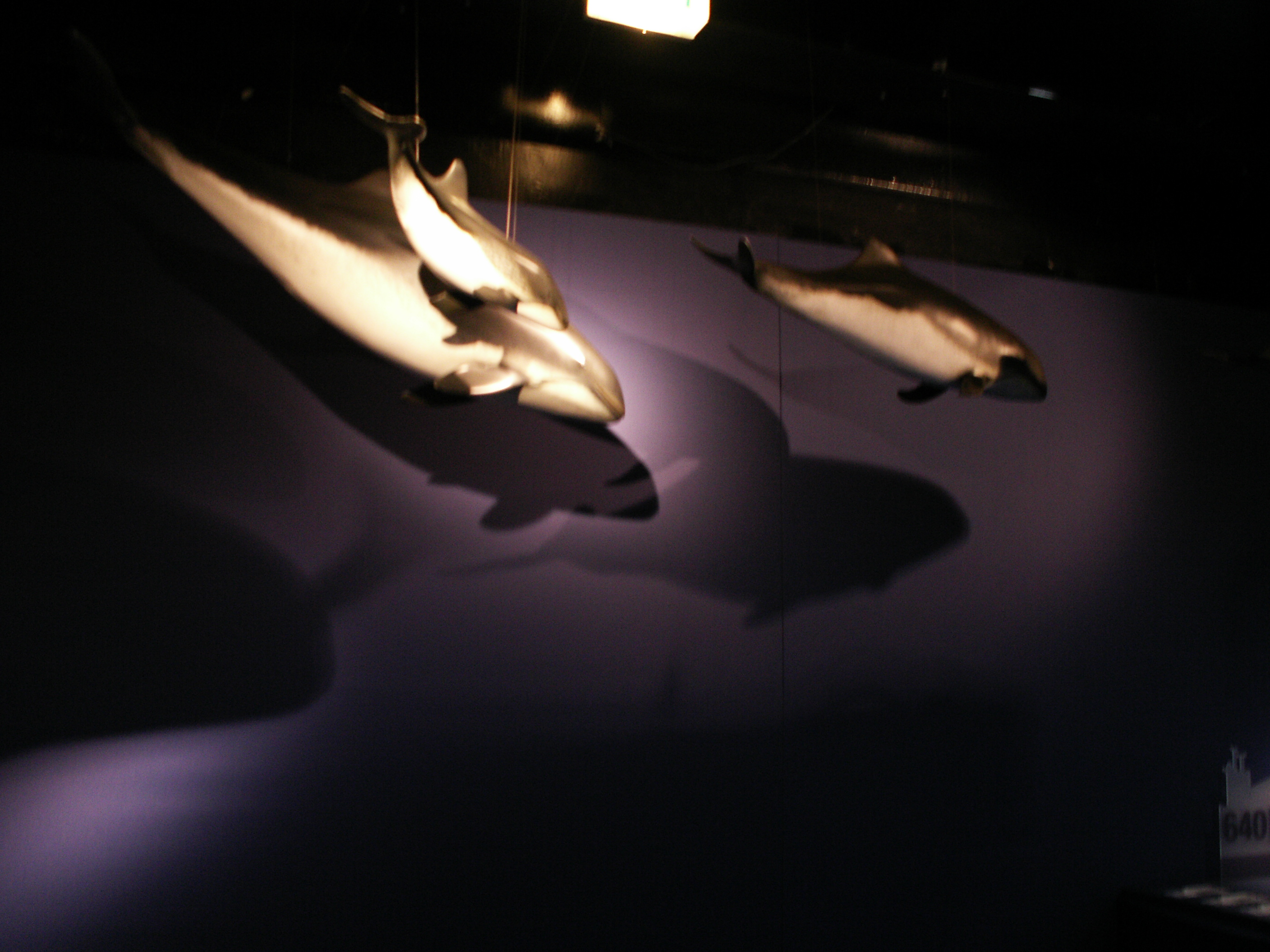 KONICA MINOLTA DIGITAL CAMERA