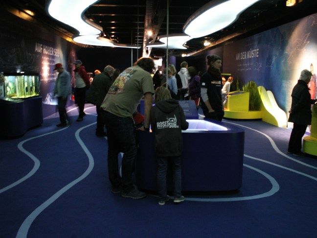 KONICA MINOLTA DIGITAL CAMERA