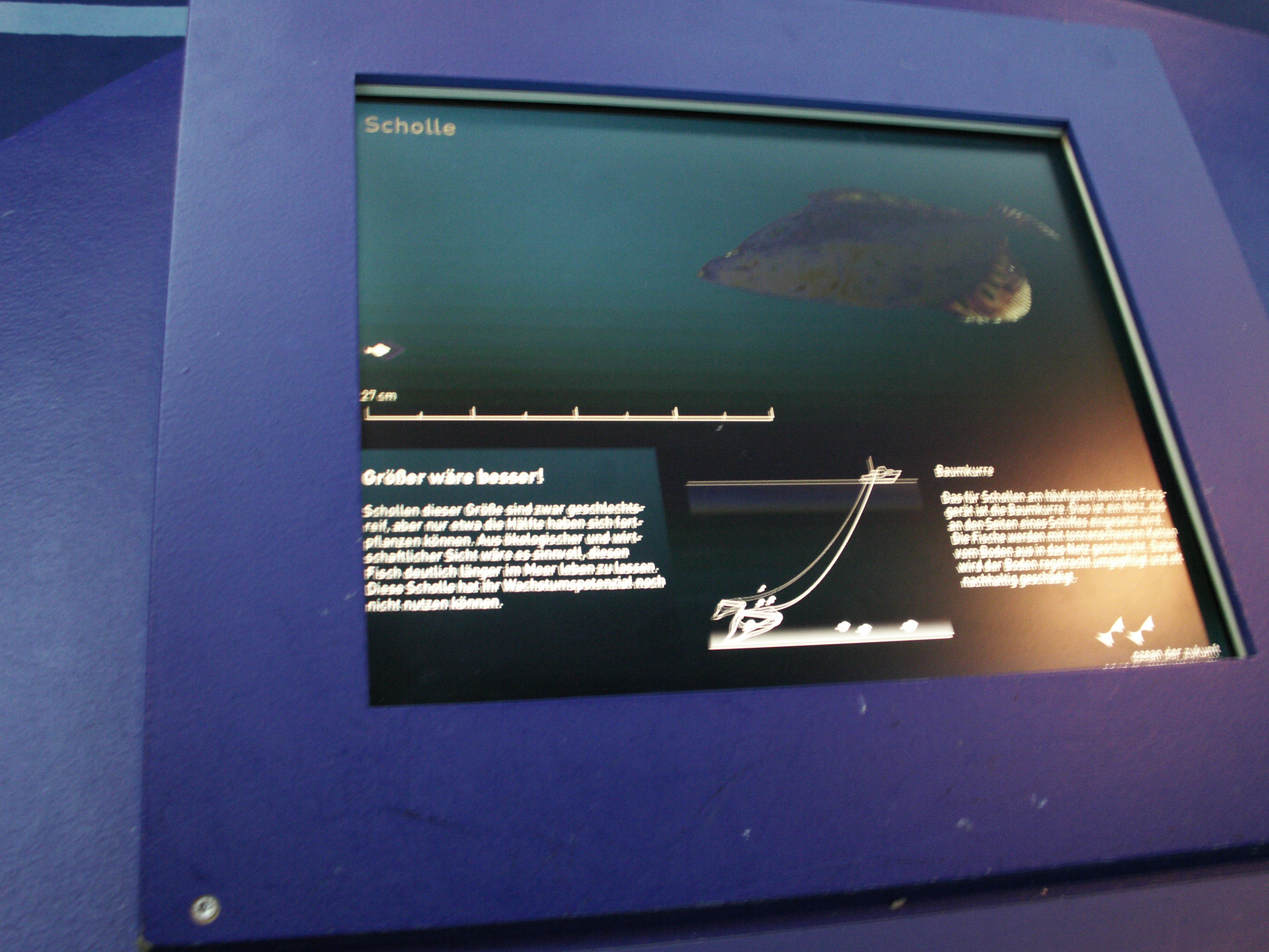 KONICA MINOLTA DIGITAL CAMERA