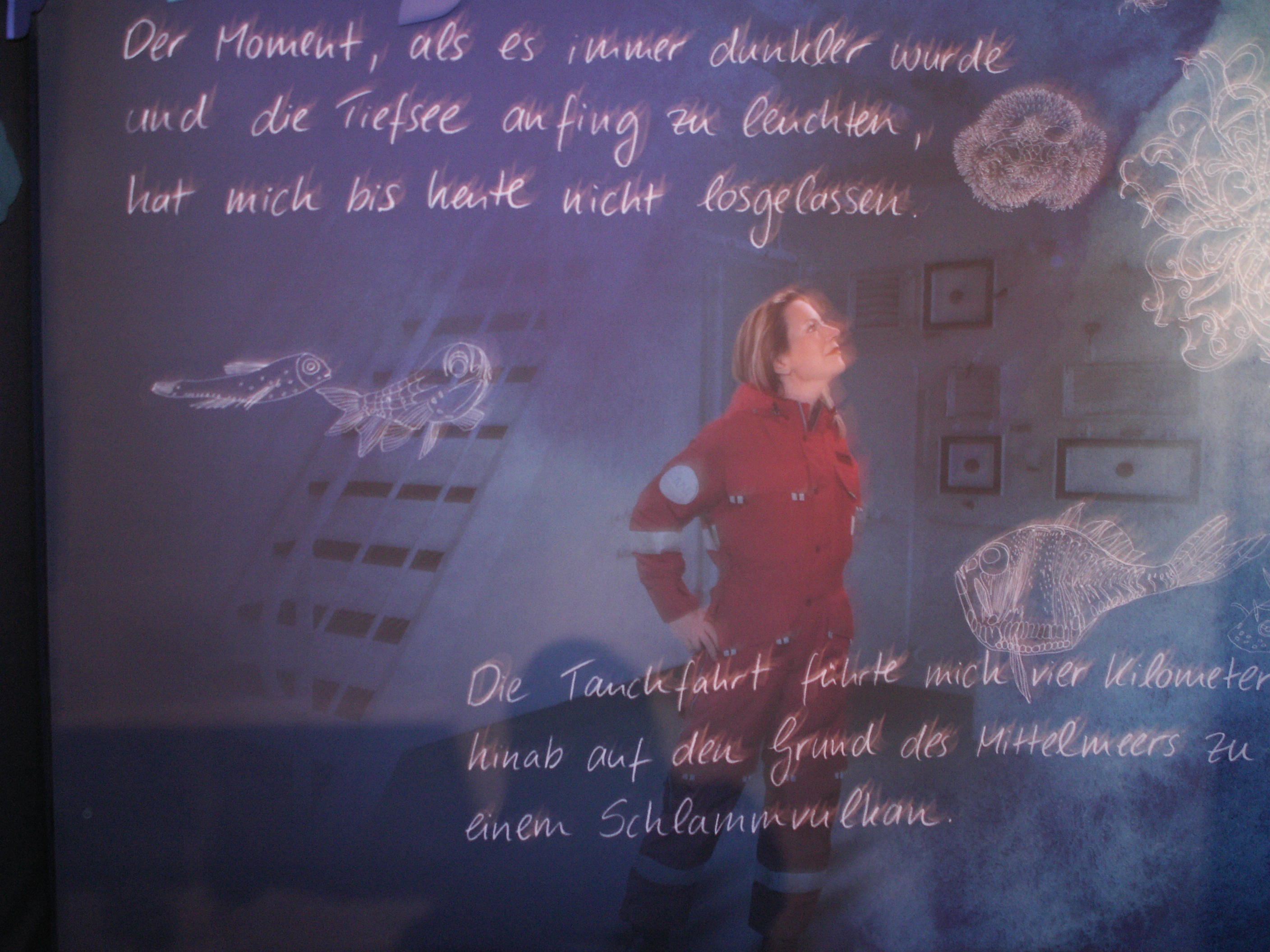 KONICA MINOLTA DIGITAL CAMERA