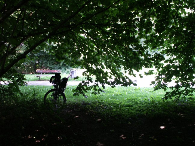 KONICA MINOLTA DIGITAL CAMERA