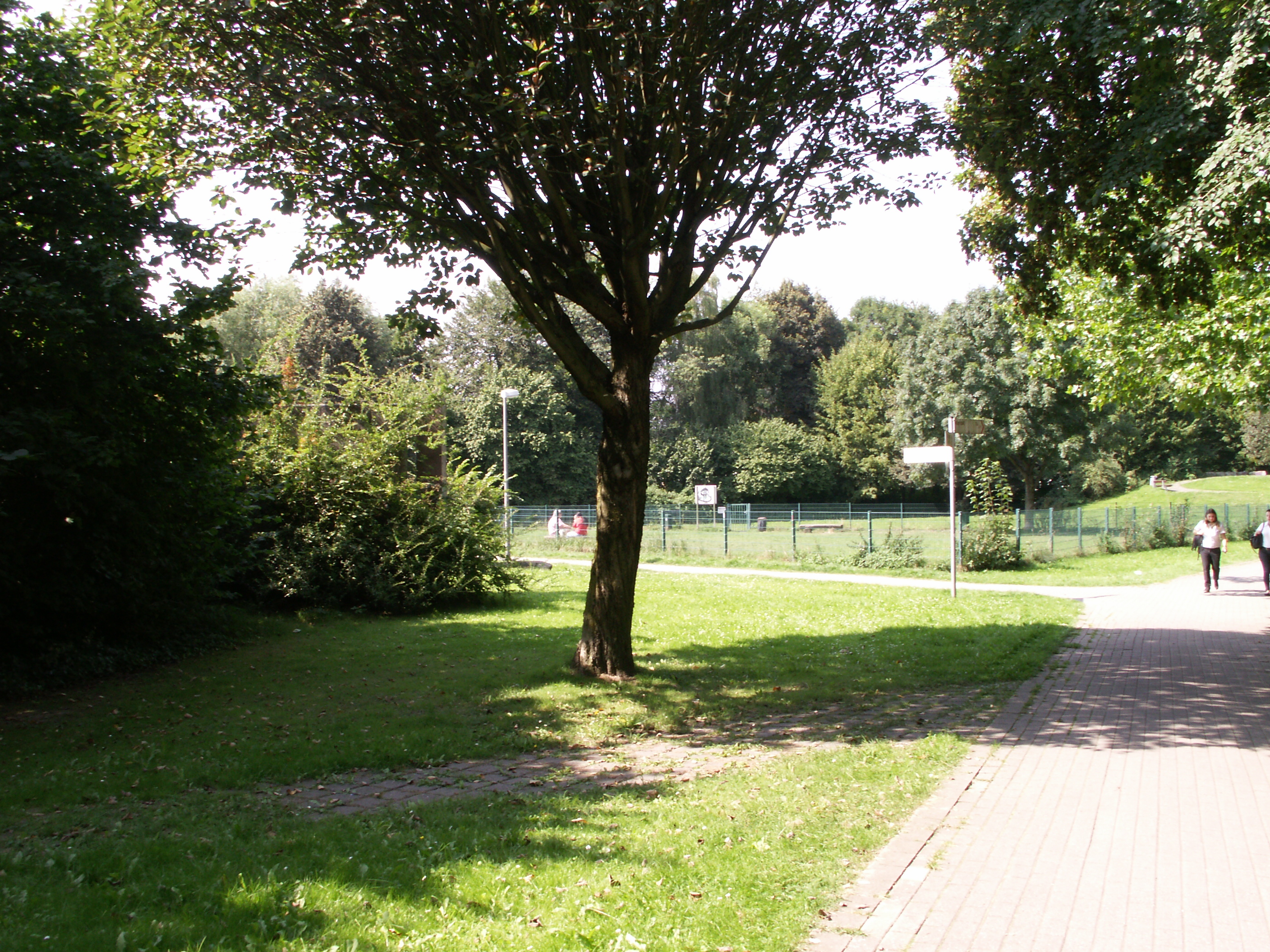 KONICA MINOLTA DIGITAL CAMERA