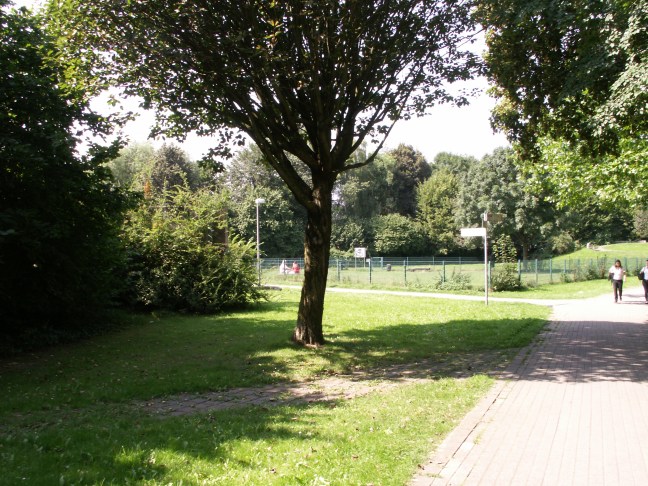 KONICA MINOLTA DIGITAL CAMERA