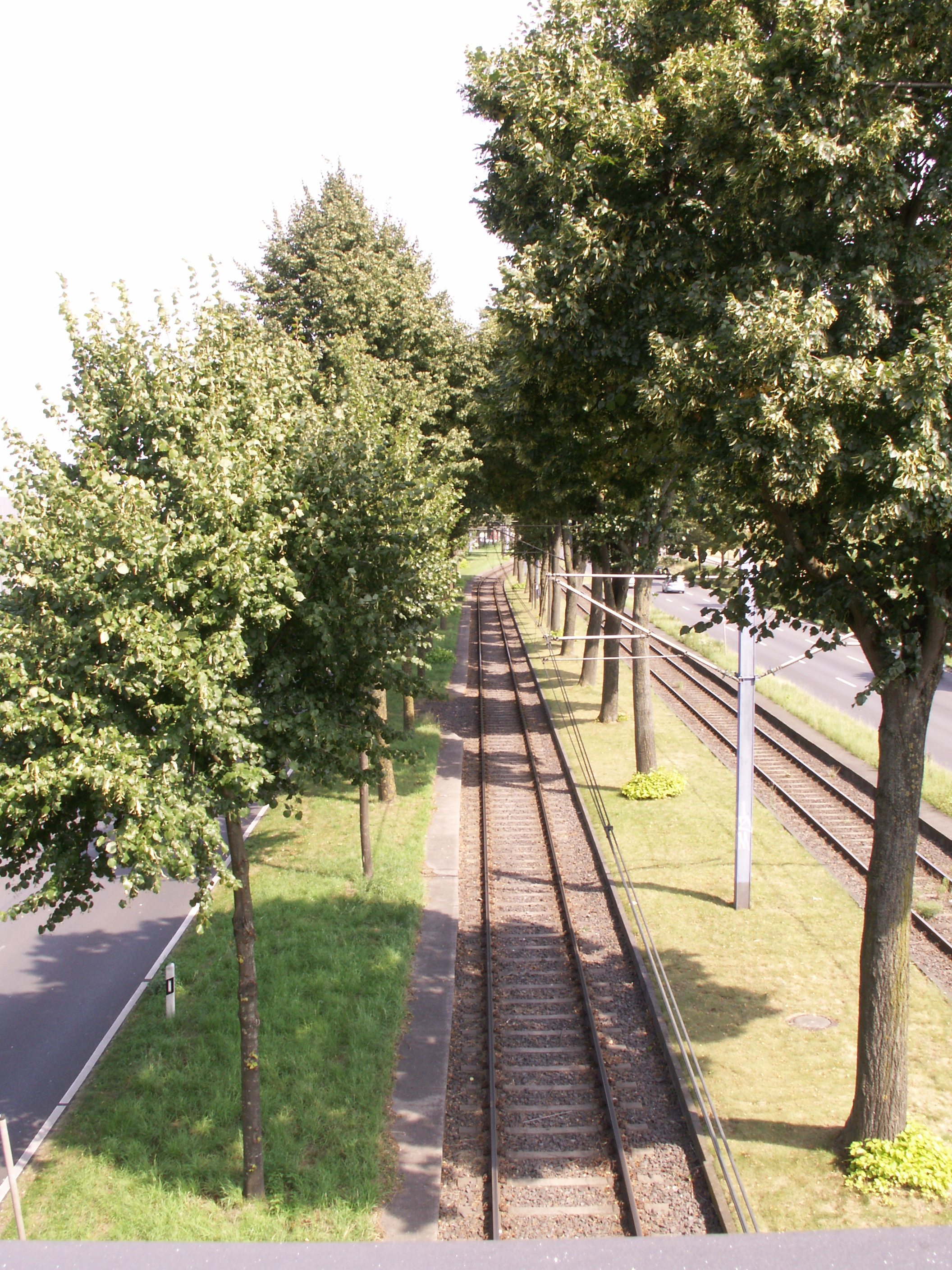 KONICA MINOLTA DIGITAL CAMERA