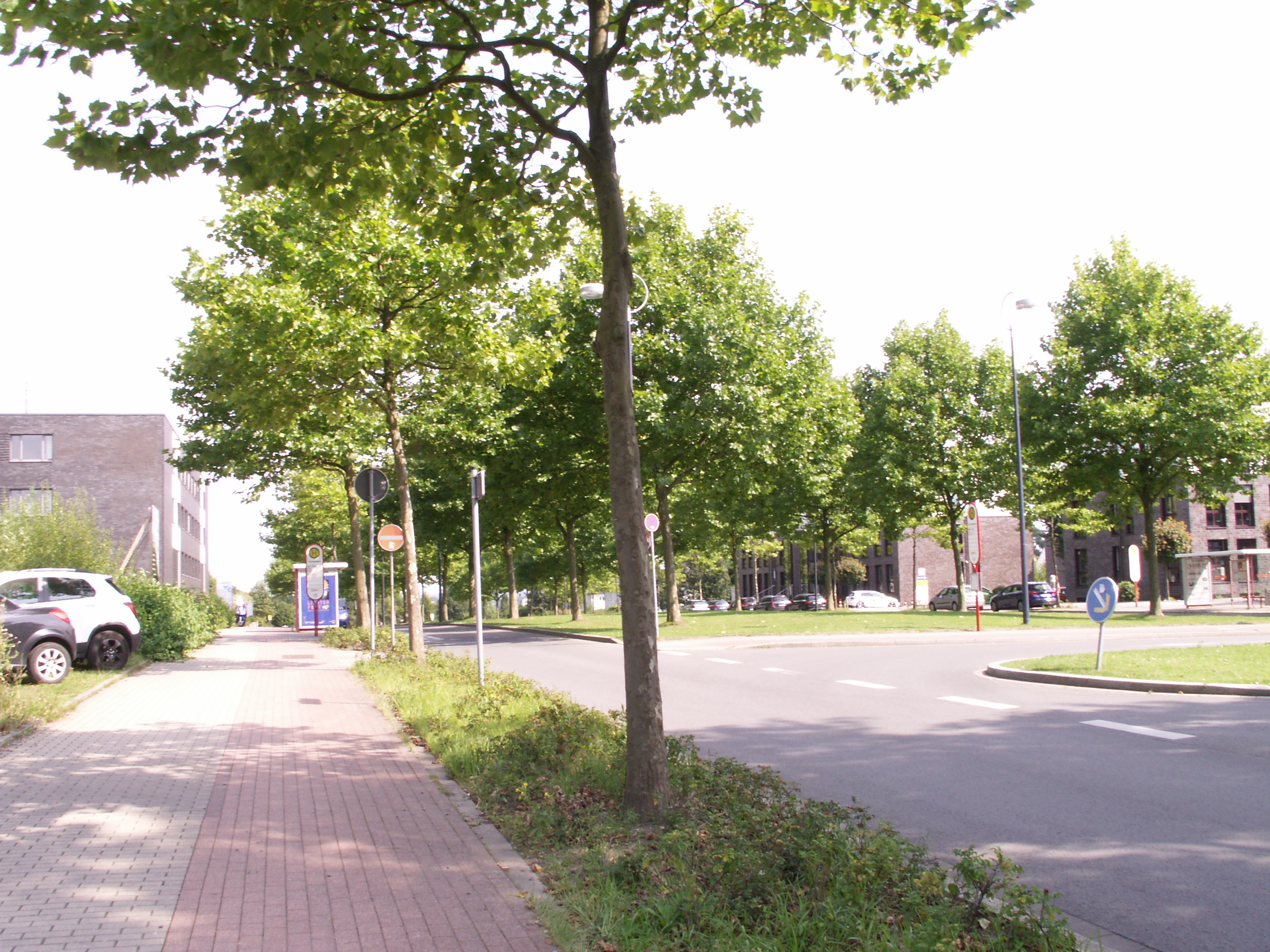 KONICA MINOLTA DIGITAL CAMERA