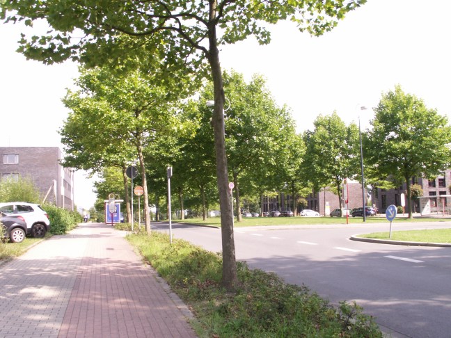 KONICA MINOLTA DIGITAL CAMERA