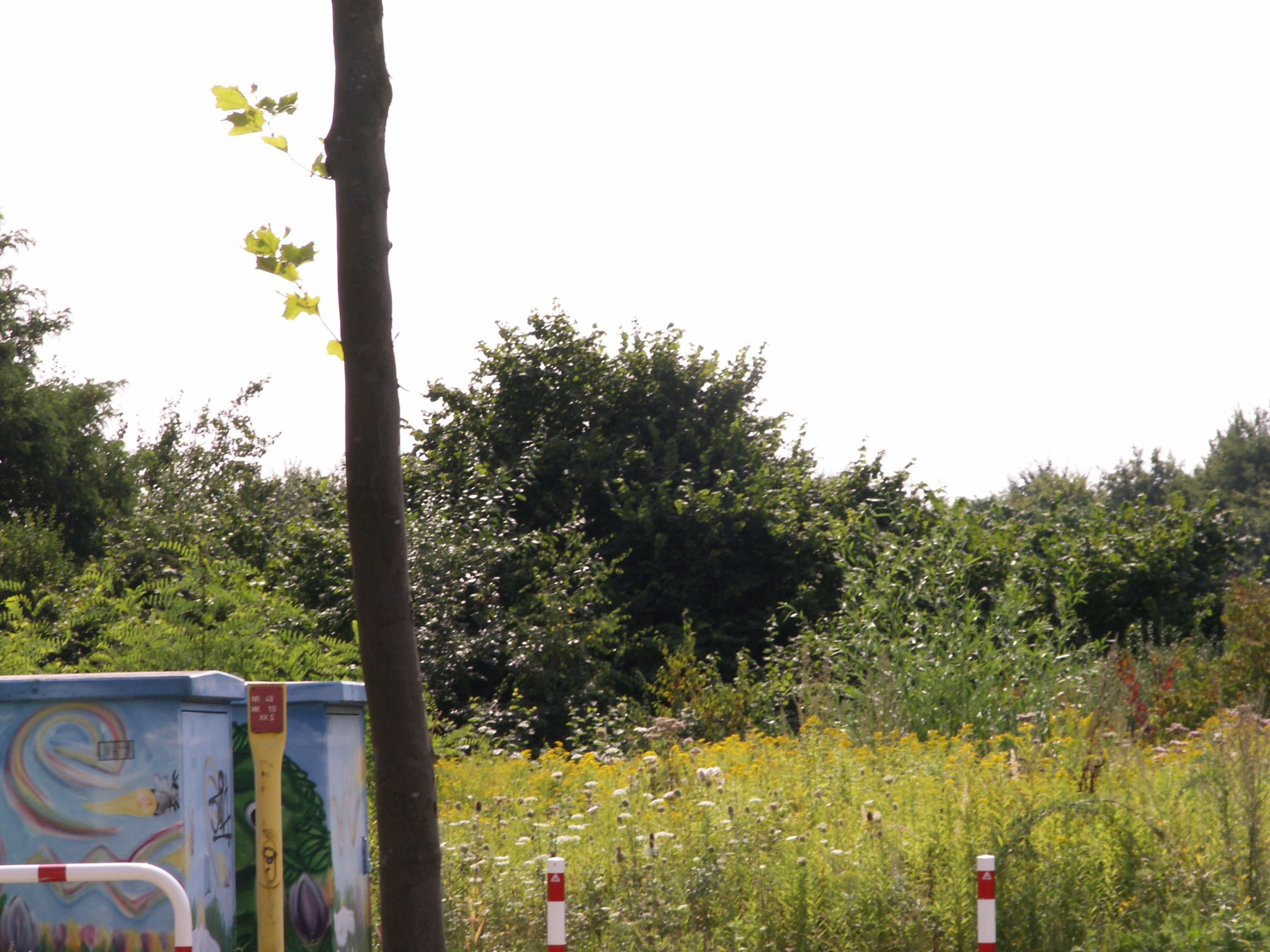 KONICA MINOLTA DIGITAL CAMERA