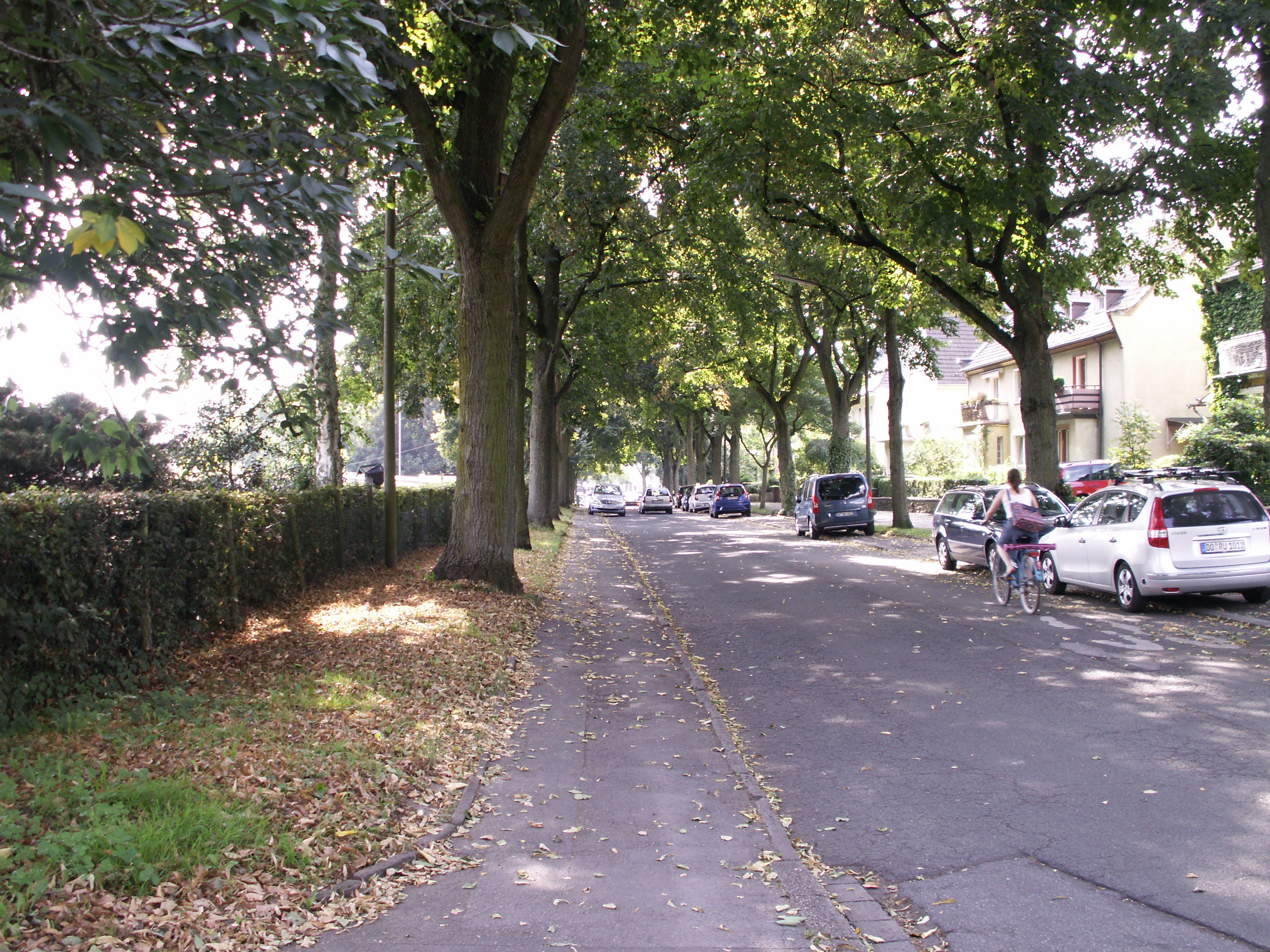 KONICA MINOLTA DIGITAL CAMERA