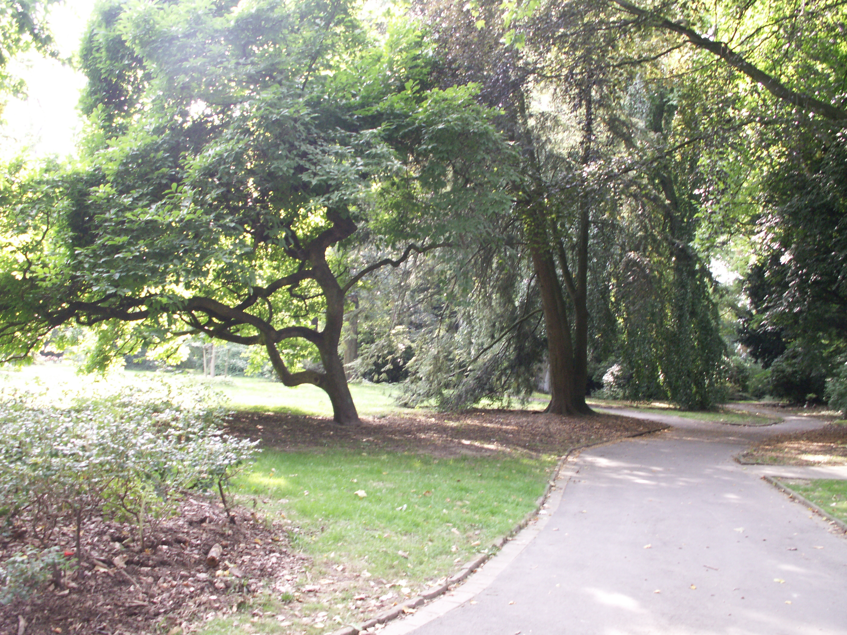 KONICA MINOLTA DIGITAL CAMERA