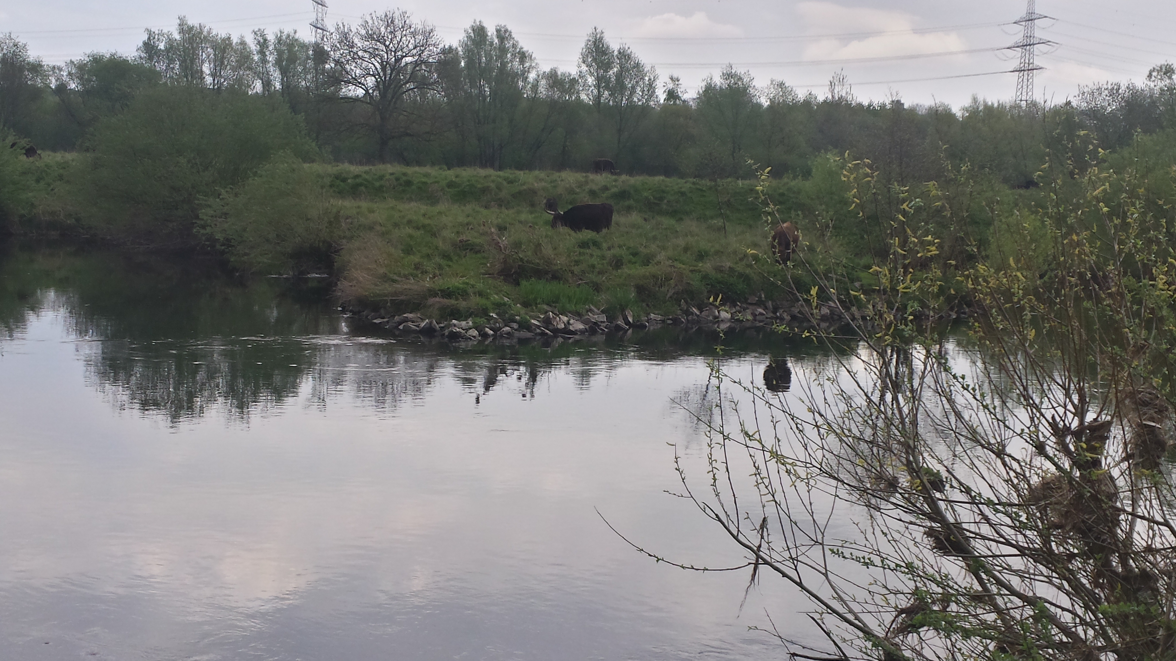 20170416_191607_Richtone(HDR)