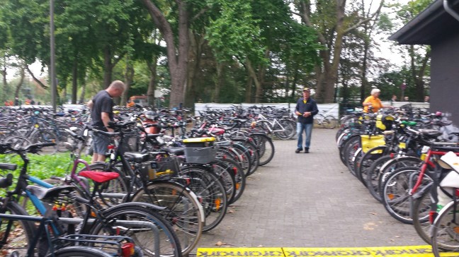 20160917_152359_resized