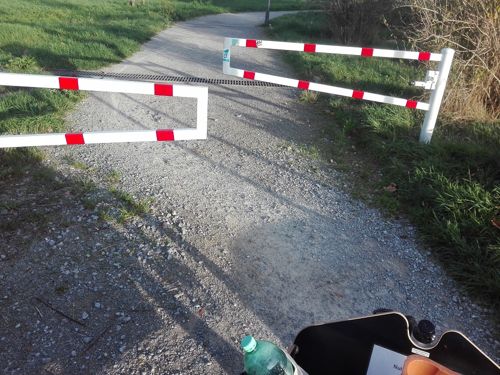 Fast kein Durchkommen entlang der Straße Twerskuhle. Foto: A. Steger